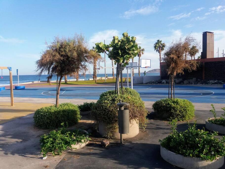 Sunny Apartment Near Las Canteras Beach لاس بالماس دي غران كاناريا المظهر الخارجي الصورة